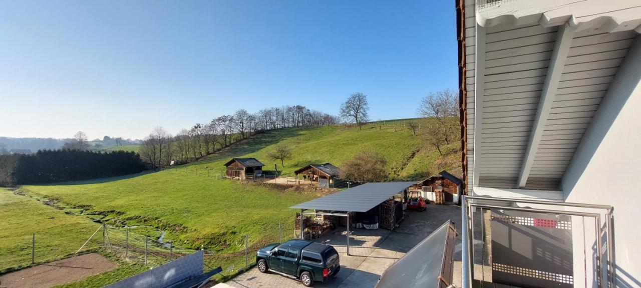 Grosse Tolle 4 Zimmer Ferienwohnung Im Herzen Des Odenwaldes Mörlenbach Exteriör bild