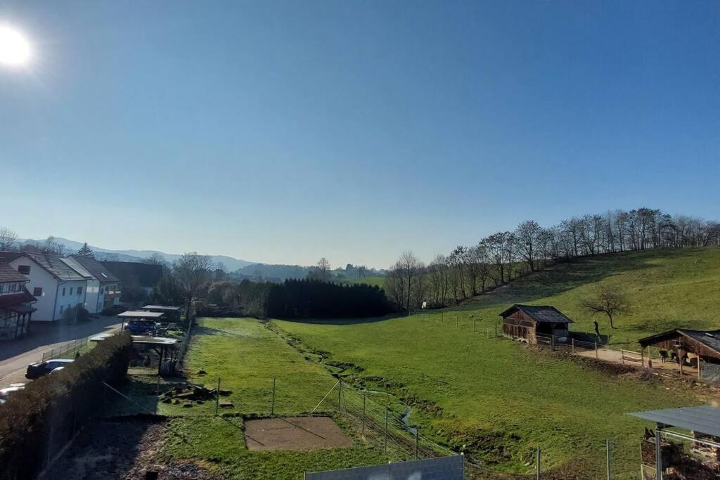 Grosse Tolle 4 Zimmer Ferienwohnung Im Herzen Des Odenwaldes Mörlenbach Exteriör bild