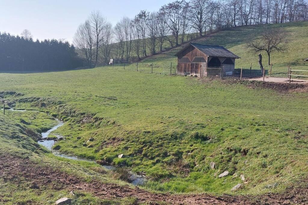 Grosse Tolle 4 Zimmer Ferienwohnung Im Herzen Des Odenwaldes Mörlenbach Exteriör bild