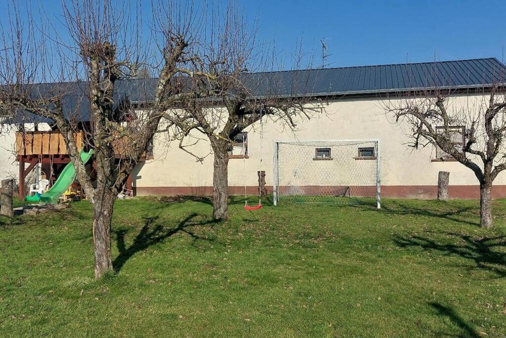 Grosse Tolle 4 Zimmer Ferienwohnung Im Herzen Des Odenwaldes Mörlenbach Exteriör bild
