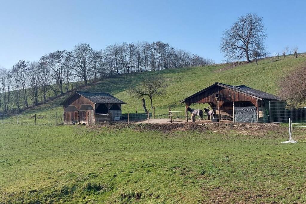 Grosse Tolle 4 Zimmer Ferienwohnung Im Herzen Des Odenwaldes Mörlenbach Exteriör bild