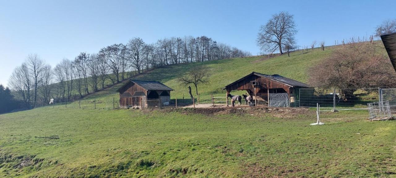 Grosse Tolle 4 Zimmer Ferienwohnung Im Herzen Des Odenwaldes Mörlenbach Exteriör bild